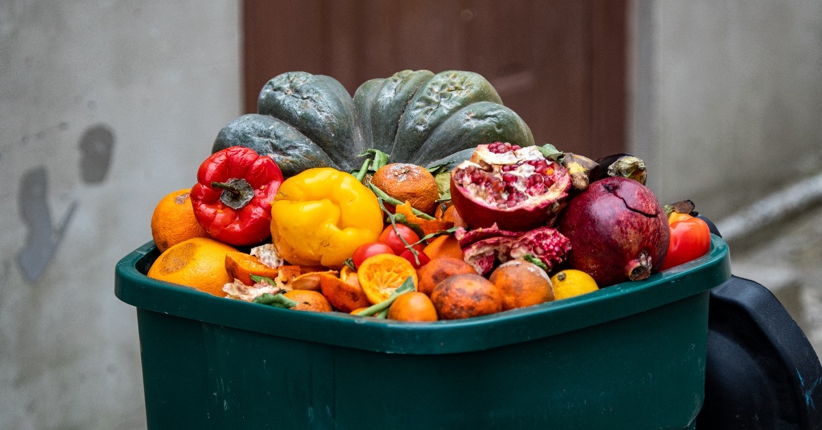 rotten fruits and vegetables in garbage.