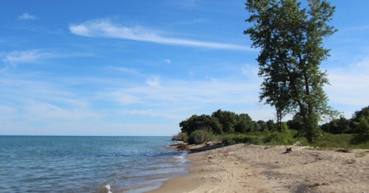 Illinois Beach state park