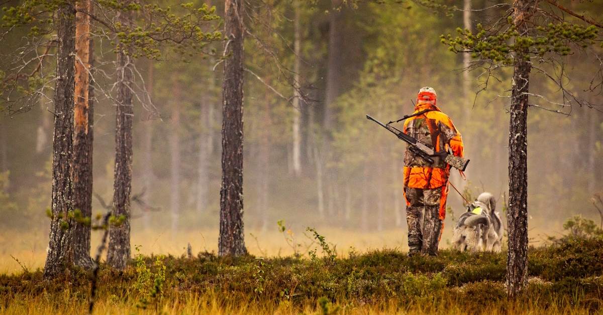 hunter with hunting gear in forest