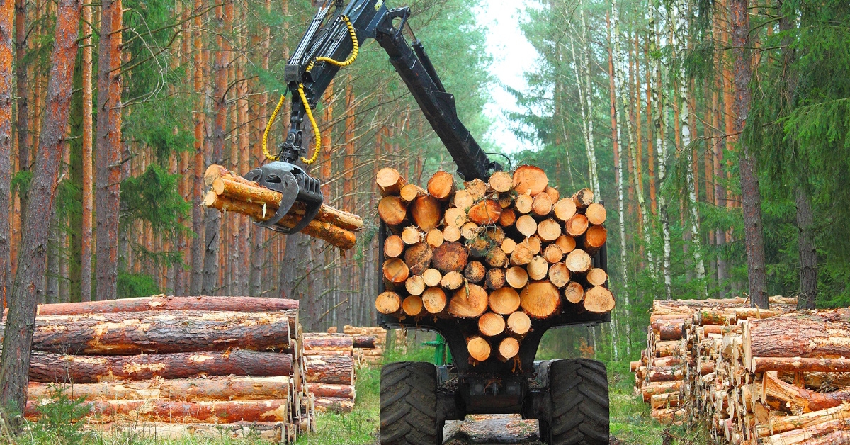 truck picking up timer in forest