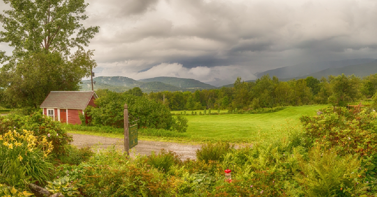 landscape panorama