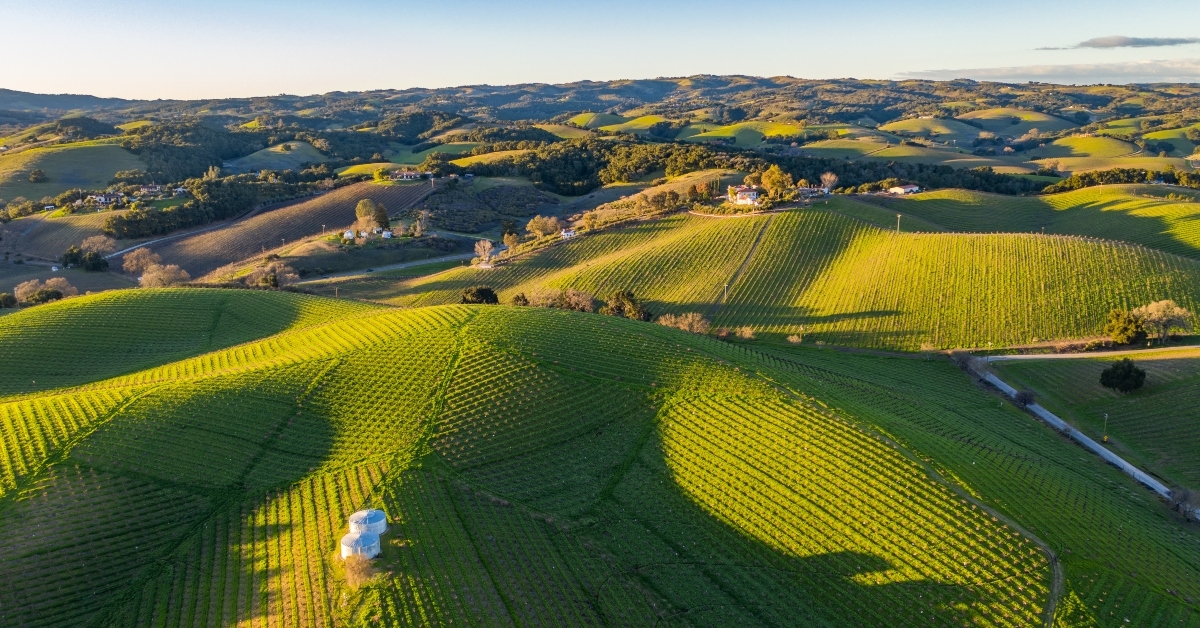 Paso Robles