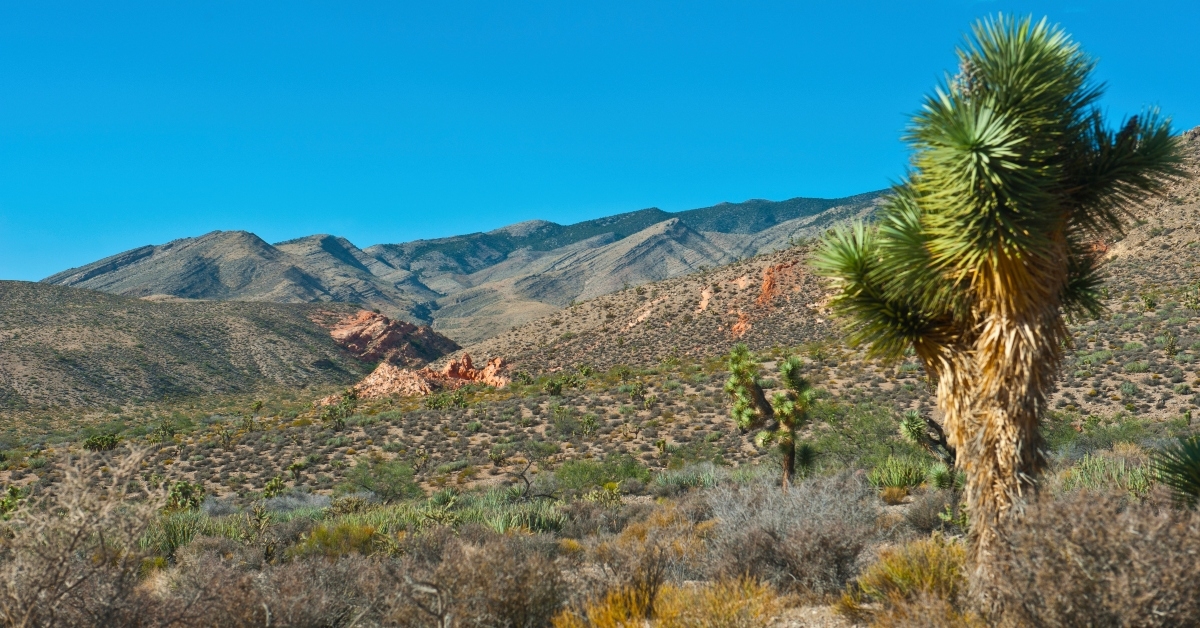 A view of Mesquite, Nevada