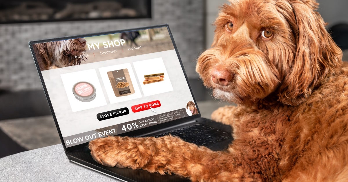 Dog using a computer