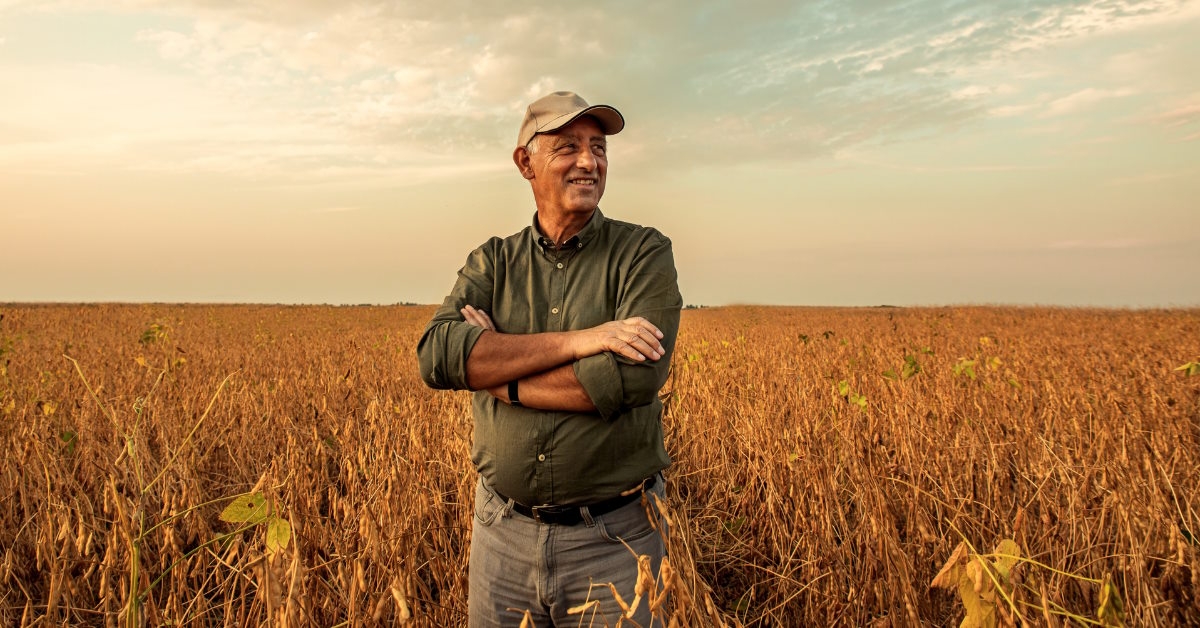 farmer standing in his soybean field