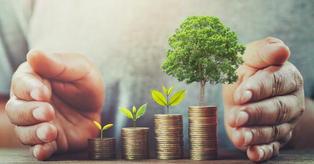 Flourishing of a tree represents the idea of saving money