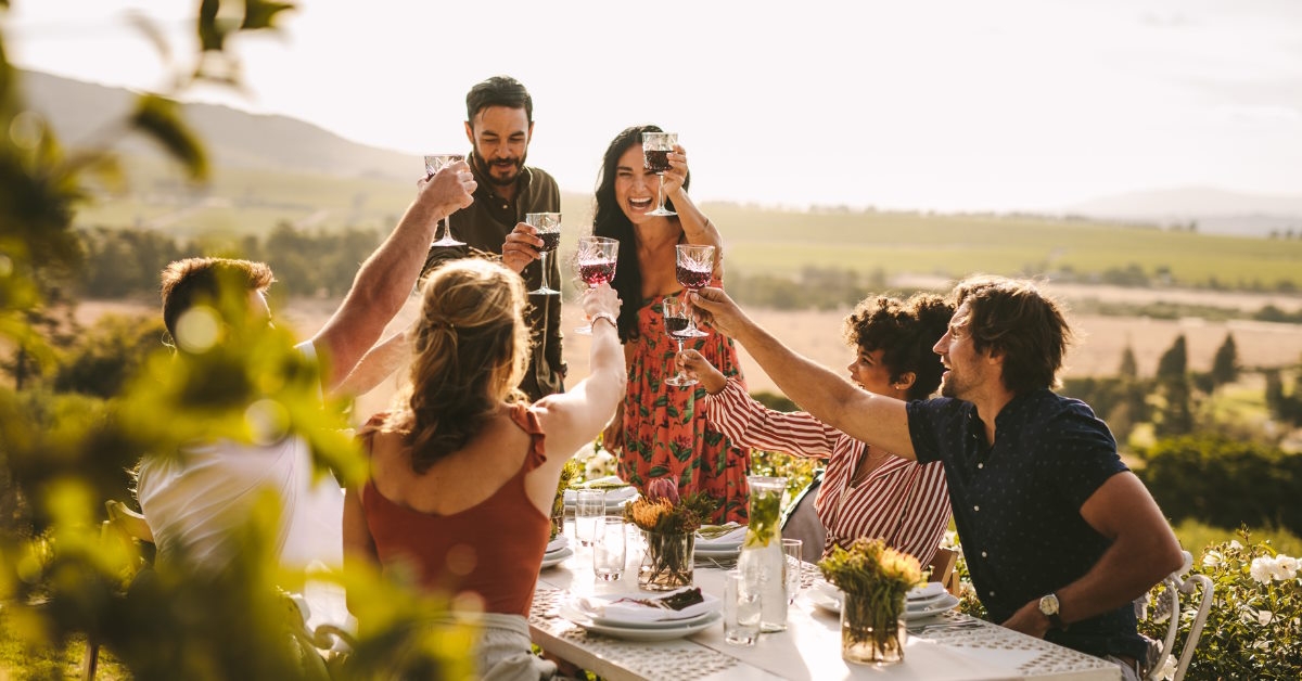 Friends at outdoor picnic toasting wine