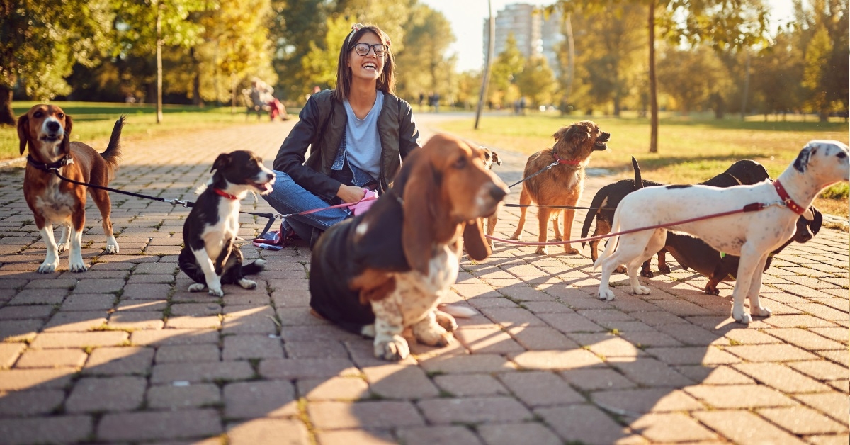 happy woman walking dogs in park