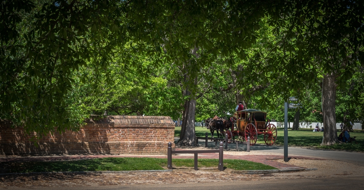 horse drawn carriage