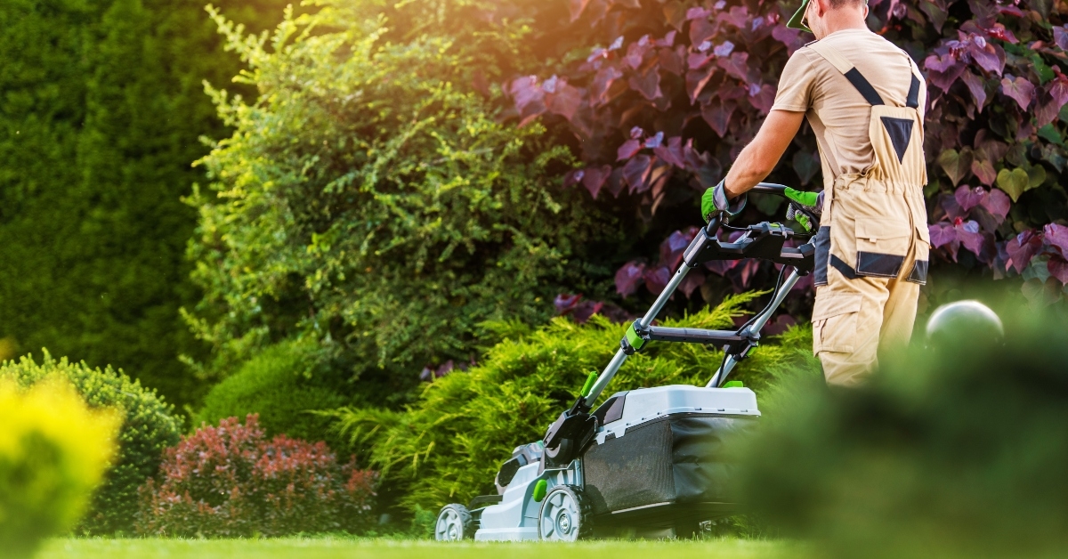 residential garden worker trimming lawn