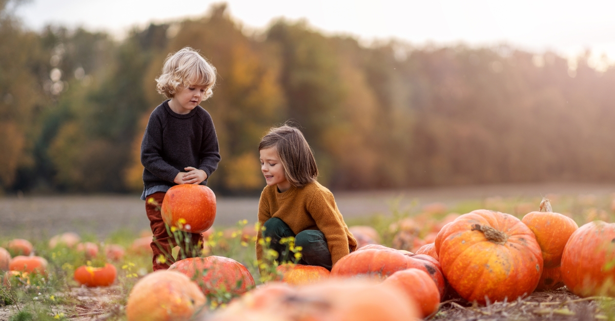 having fun in pumpkin patch