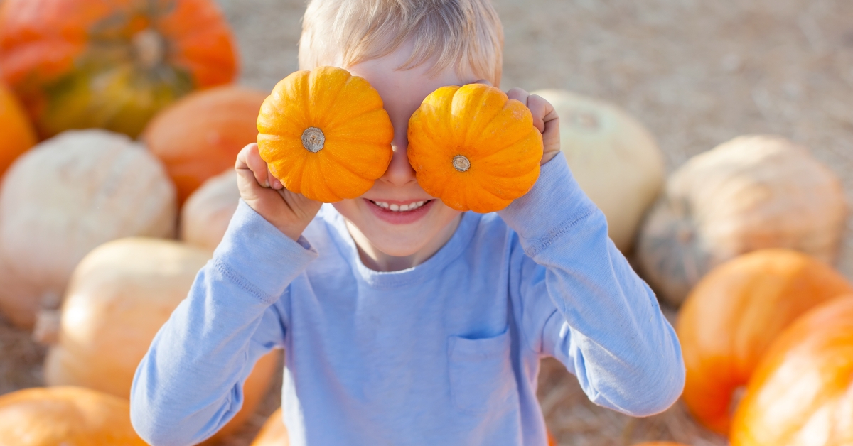 kid at pumpkin patch