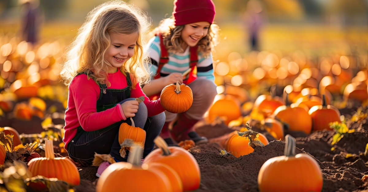 picking pumpkins