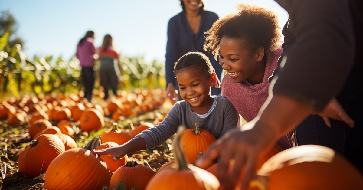 picking pumpkins on an autumn