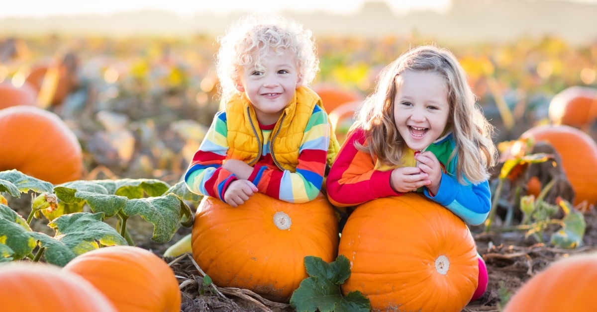 picking pumpkins on halloween pumpkin