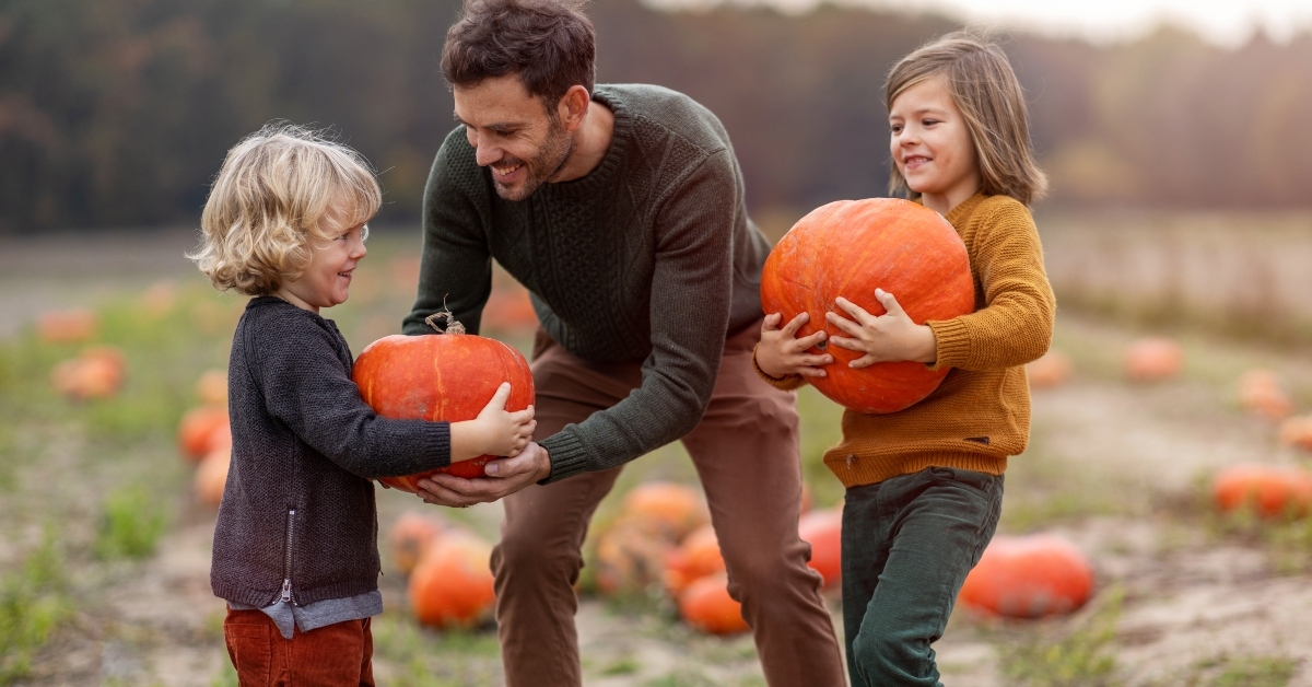 pumpkin patch field