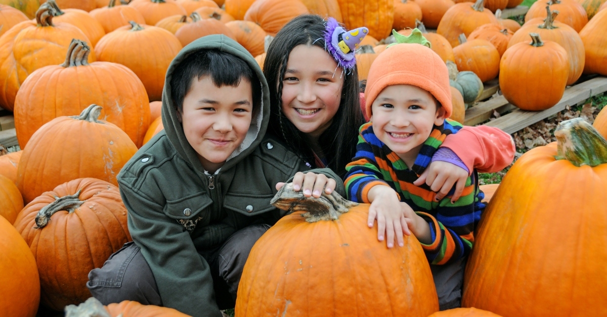 young siblings in pumpkin patch