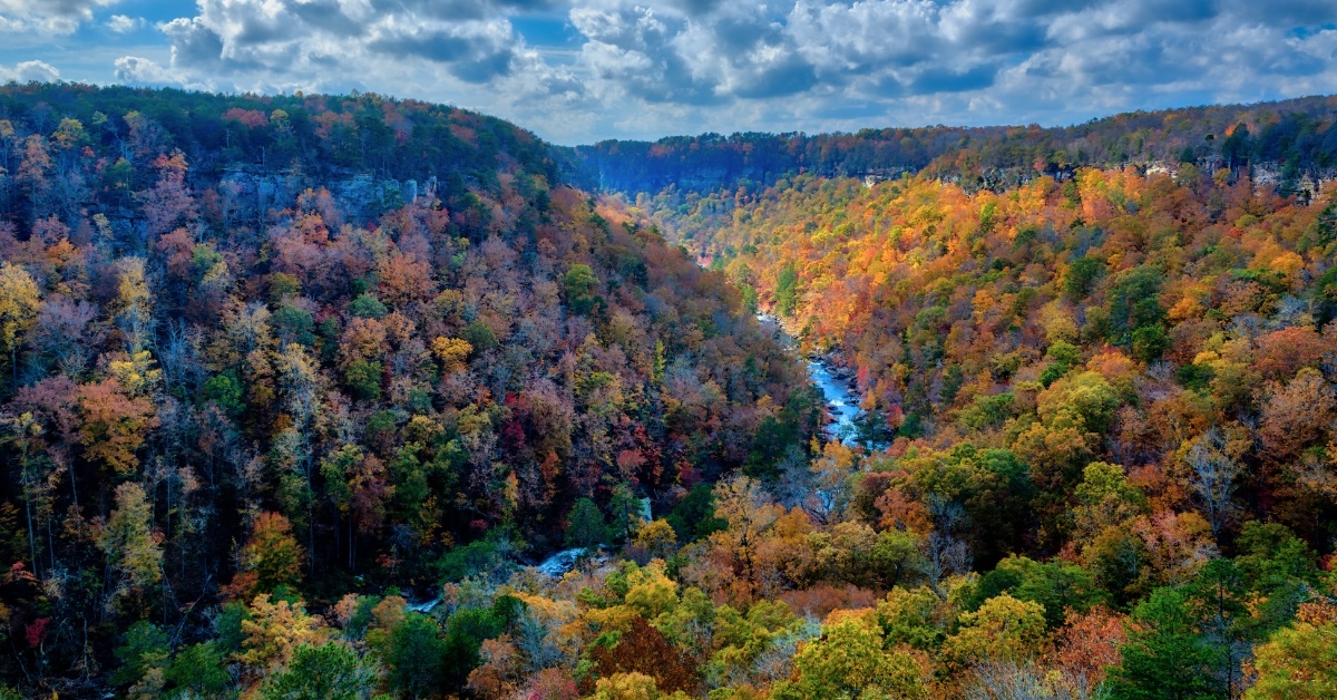 canyon during fall season