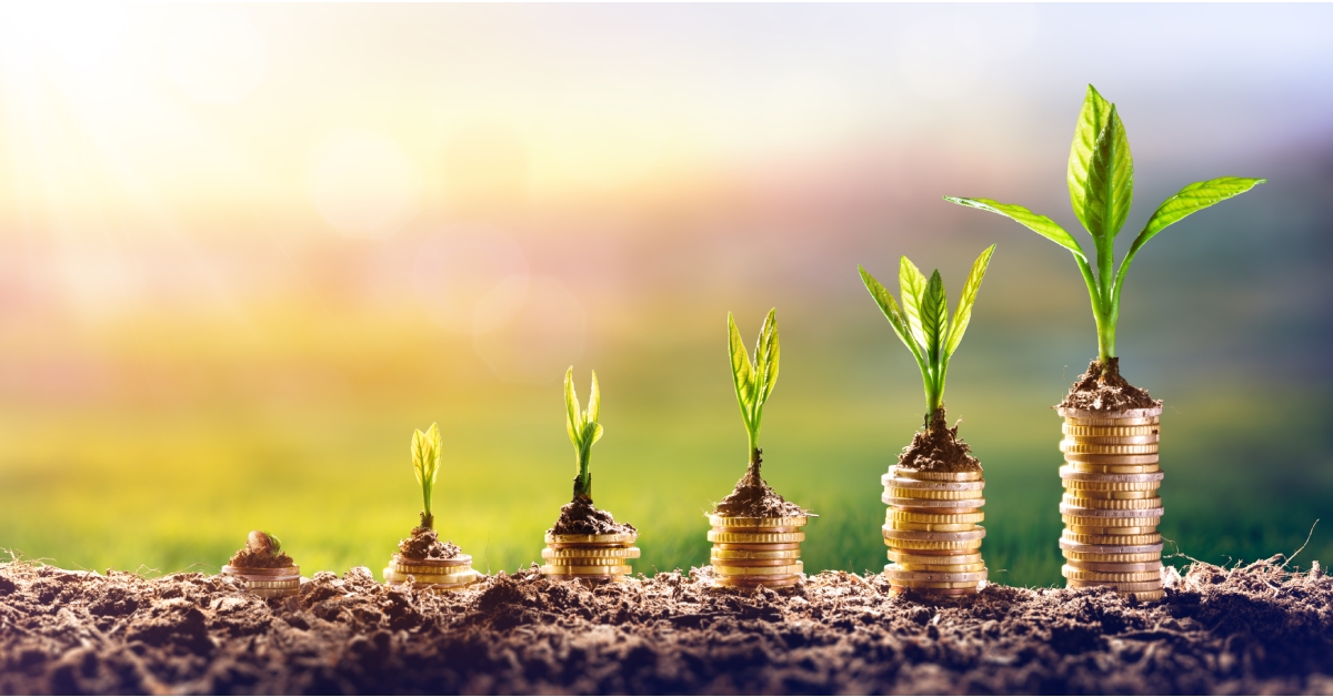 growing money plant on coins