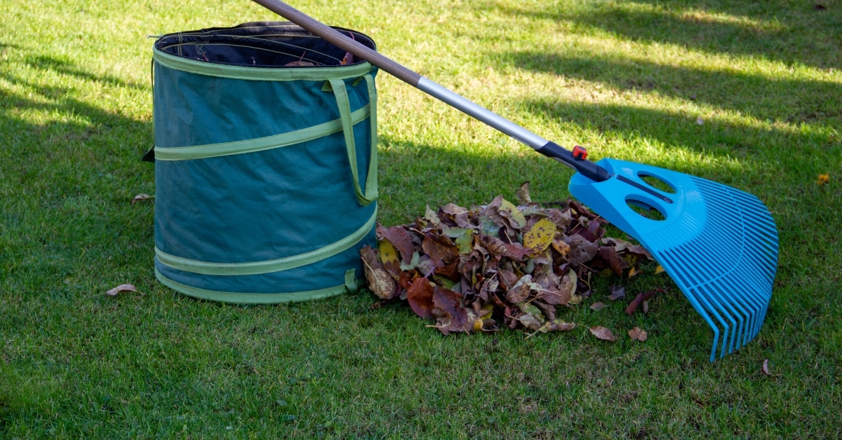 rake leaves on a meadow