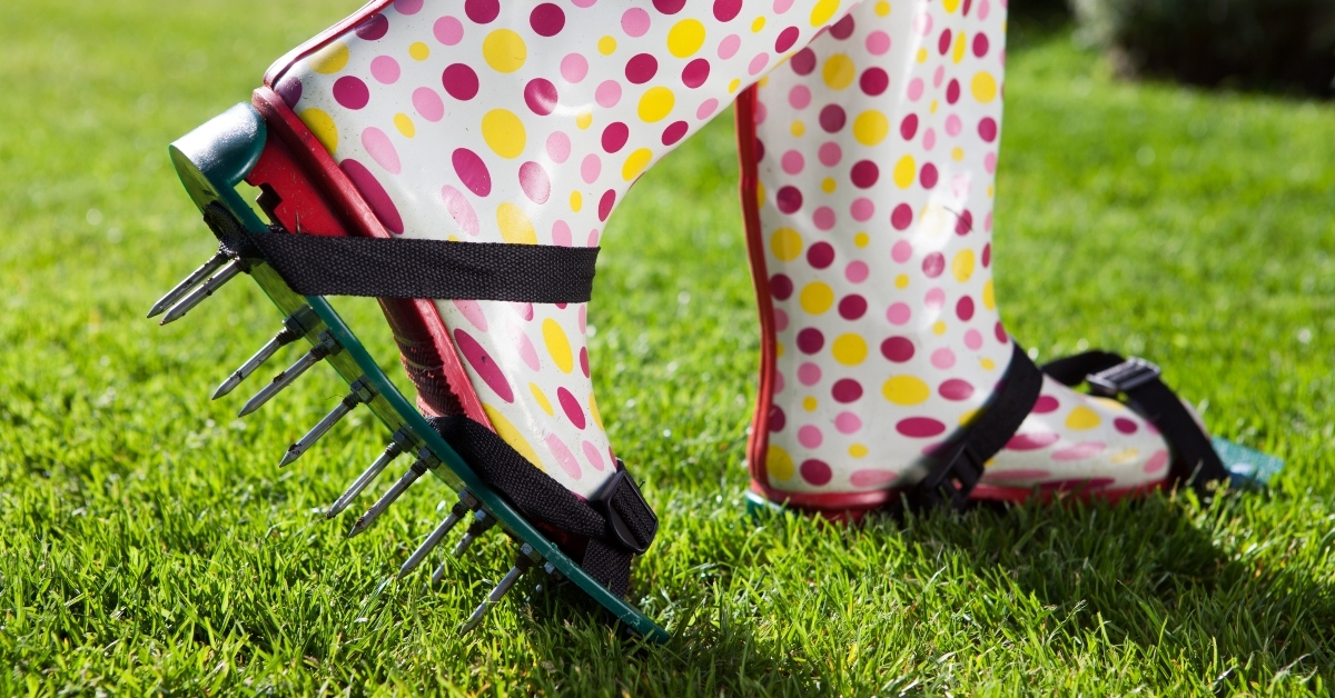 spiked lawn revitalizing aerating shoes