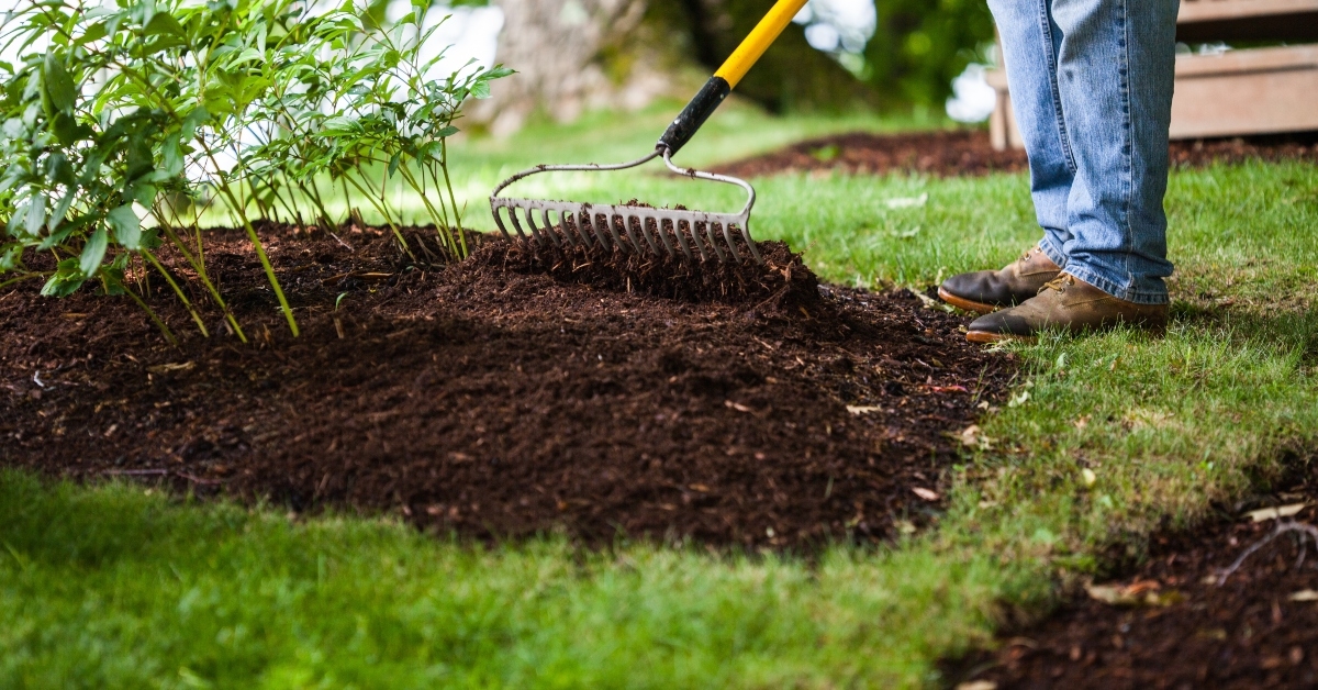 working in the Garden