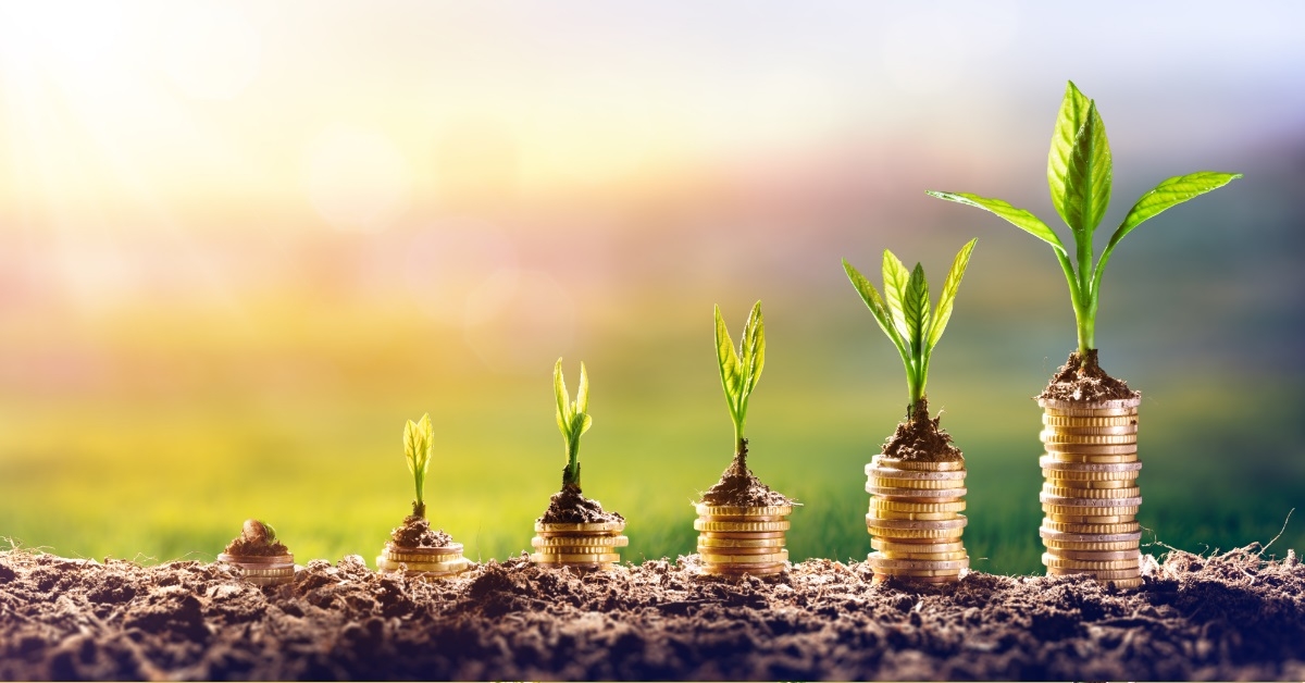 leaves on pennies saving money concept