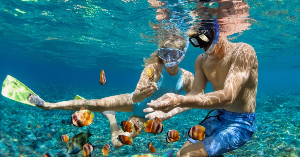 couple snorkeling in coral reef sea