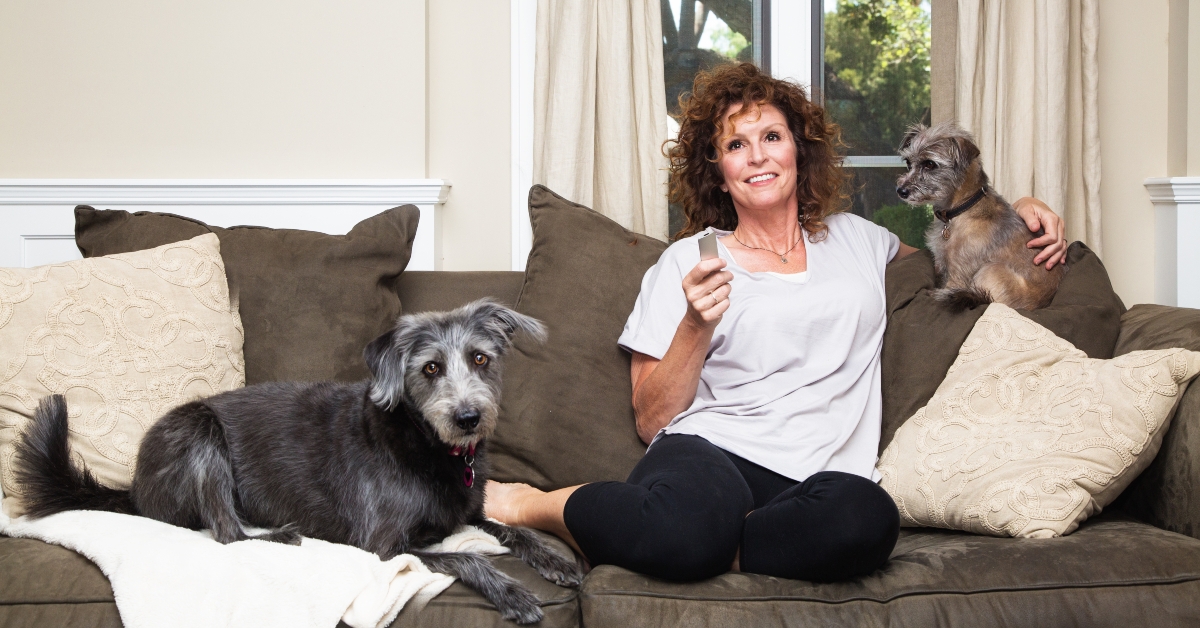 watching tv with dogs on sofa