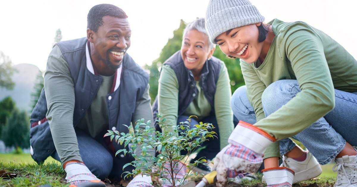 multi ethnic friends planting trees together