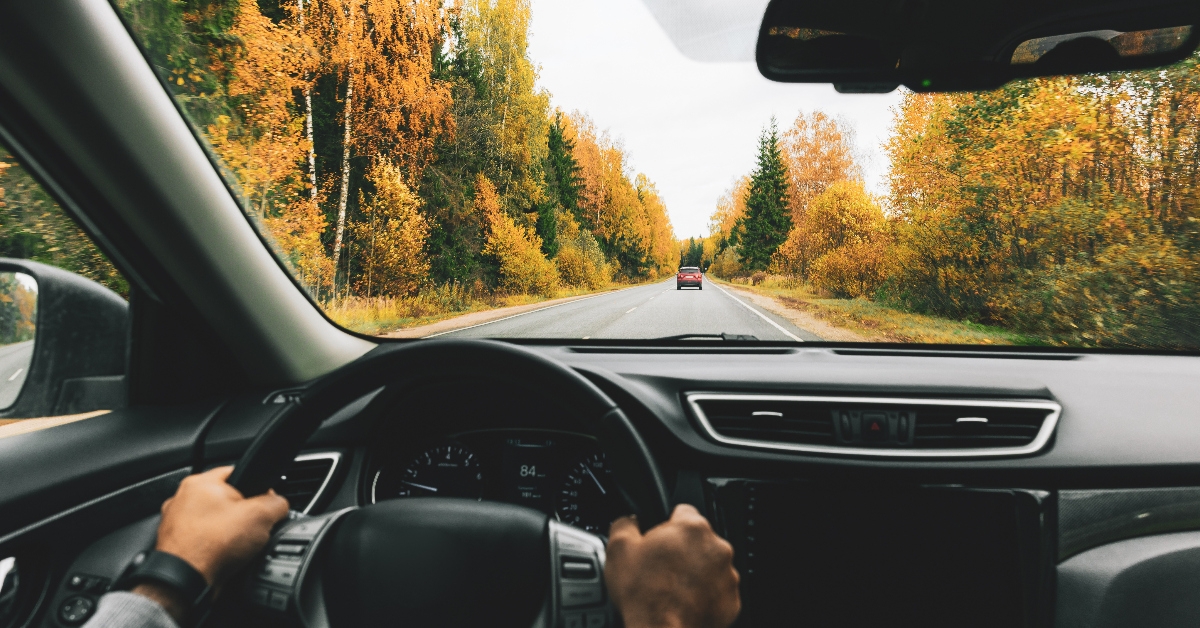 driving a car down a fall road
