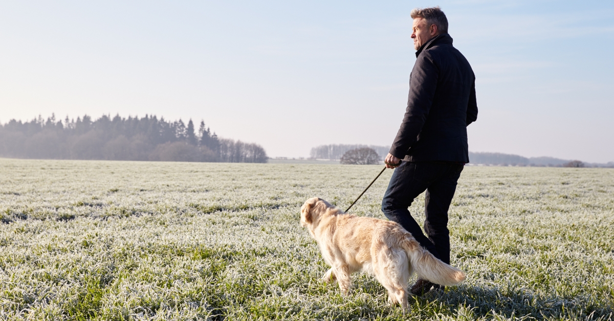 mature man walking dog