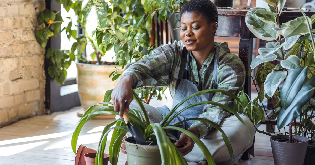 african american woman planting pots indoors
