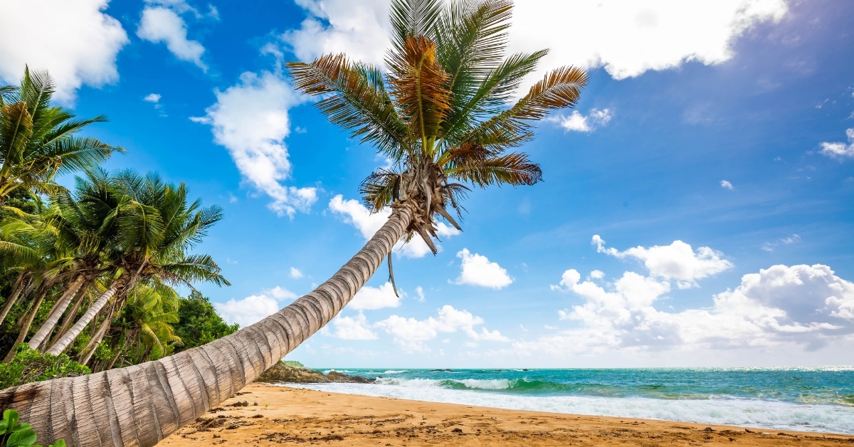 puerto rico flamenco beach carribean shore