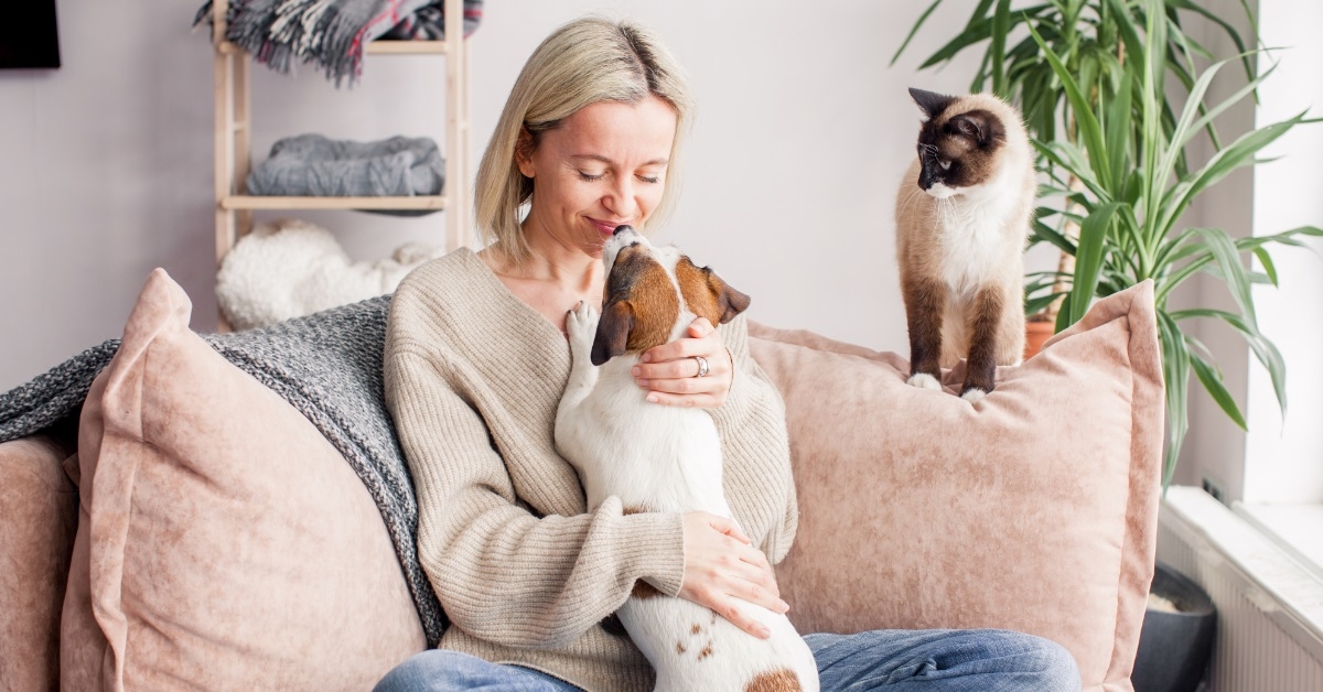 woman playing with dog on couch