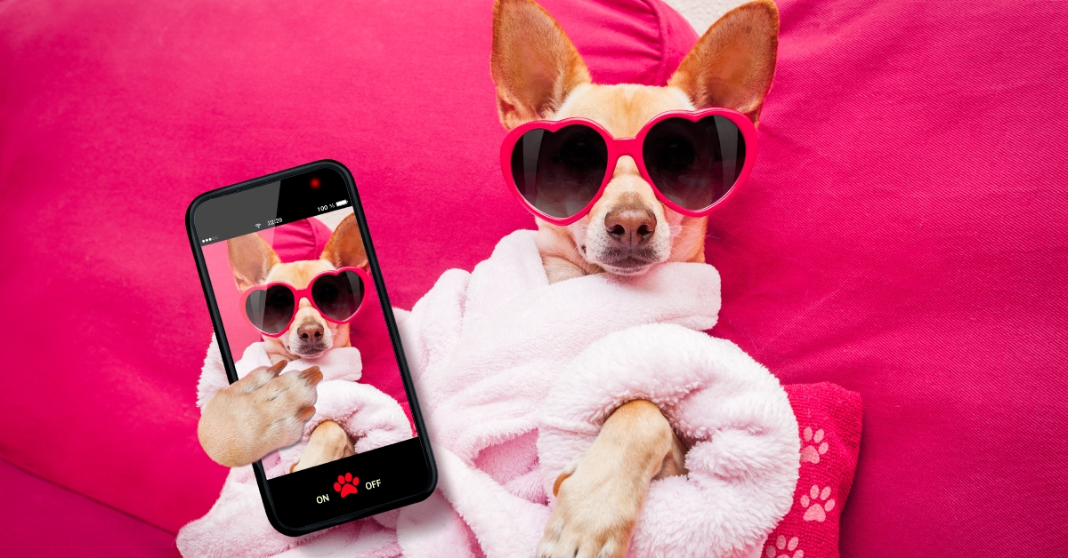 dog selfie wellness spa