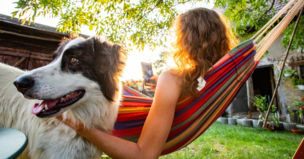 woman with dog in hammock