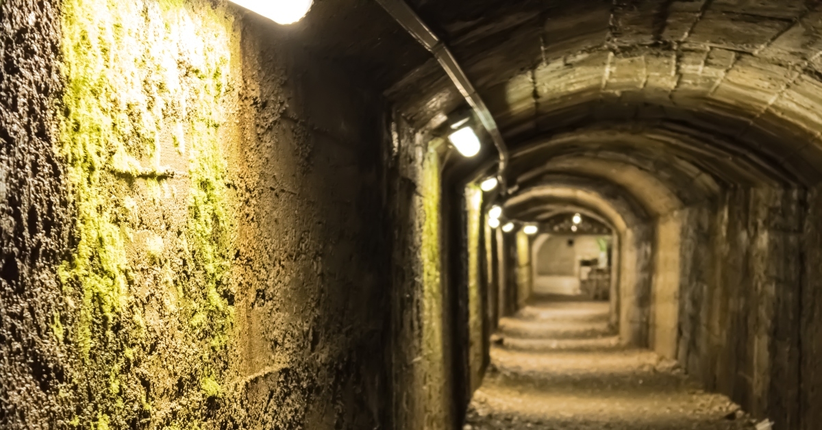 tunnel with the light bulbs