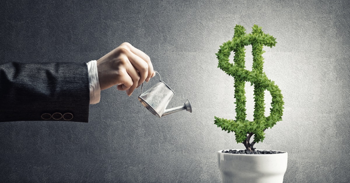 man watering dollar tree investment concept