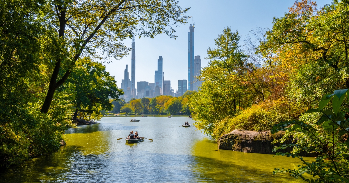 row boats in lake
