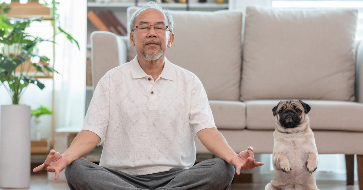 doing yoga with dog pug