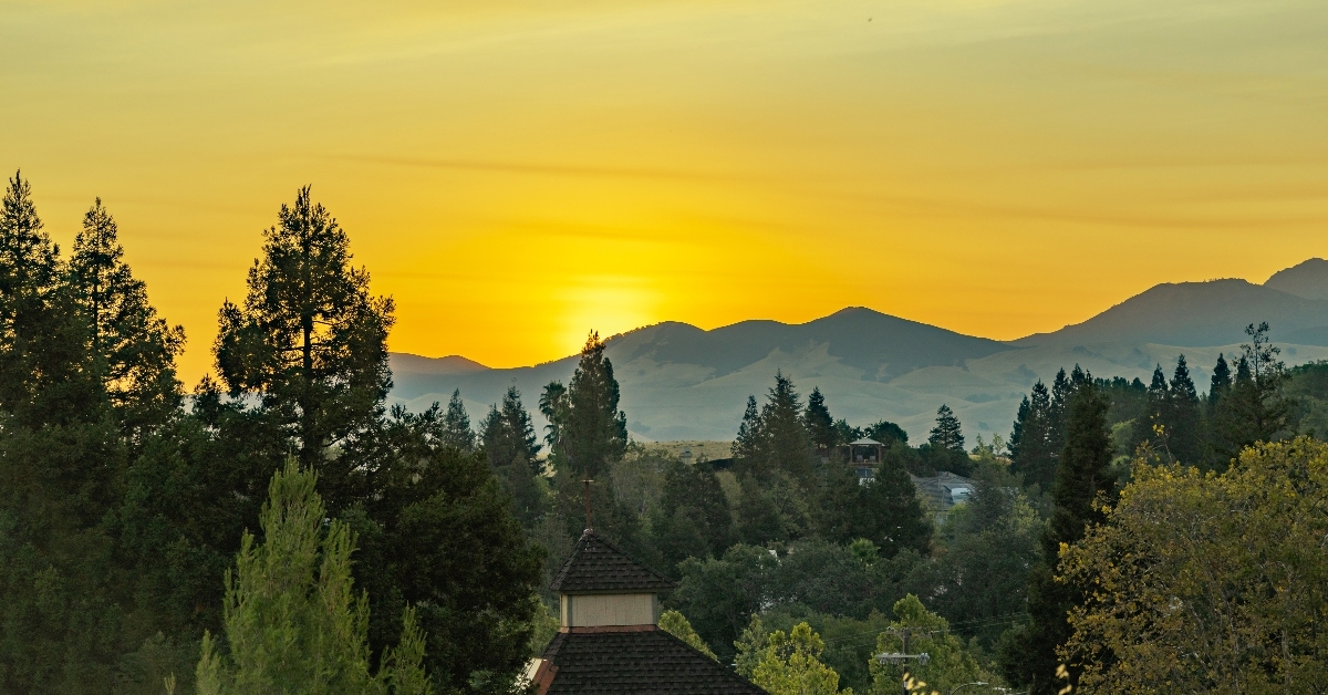 A view of Walnut Creek