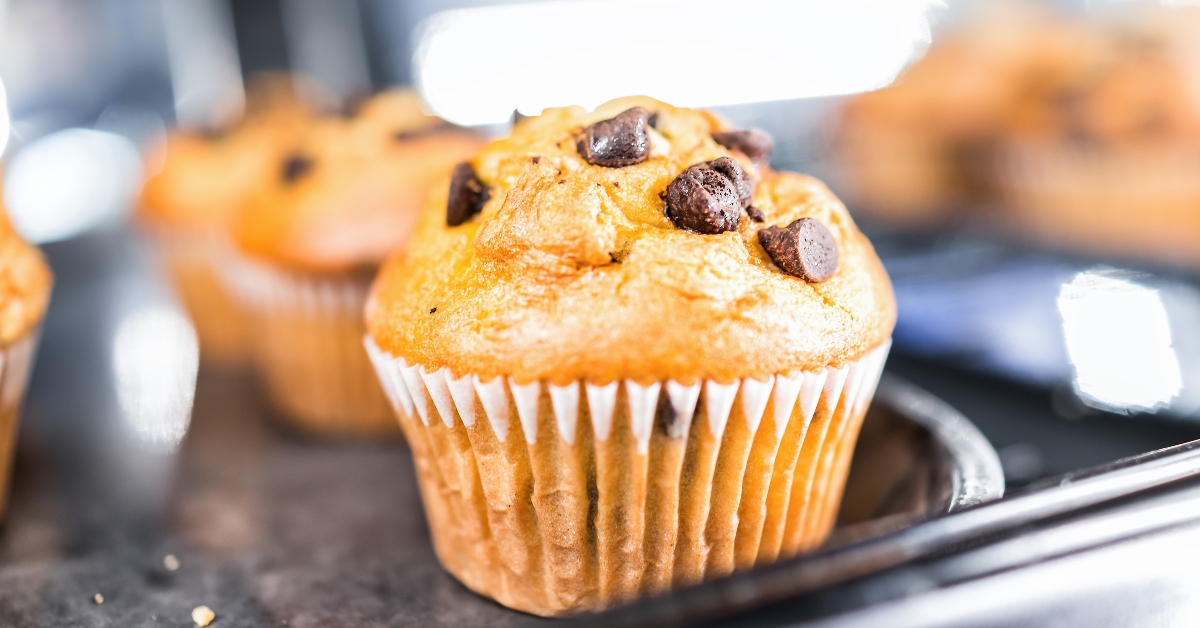chocolate chip vanilla muffin