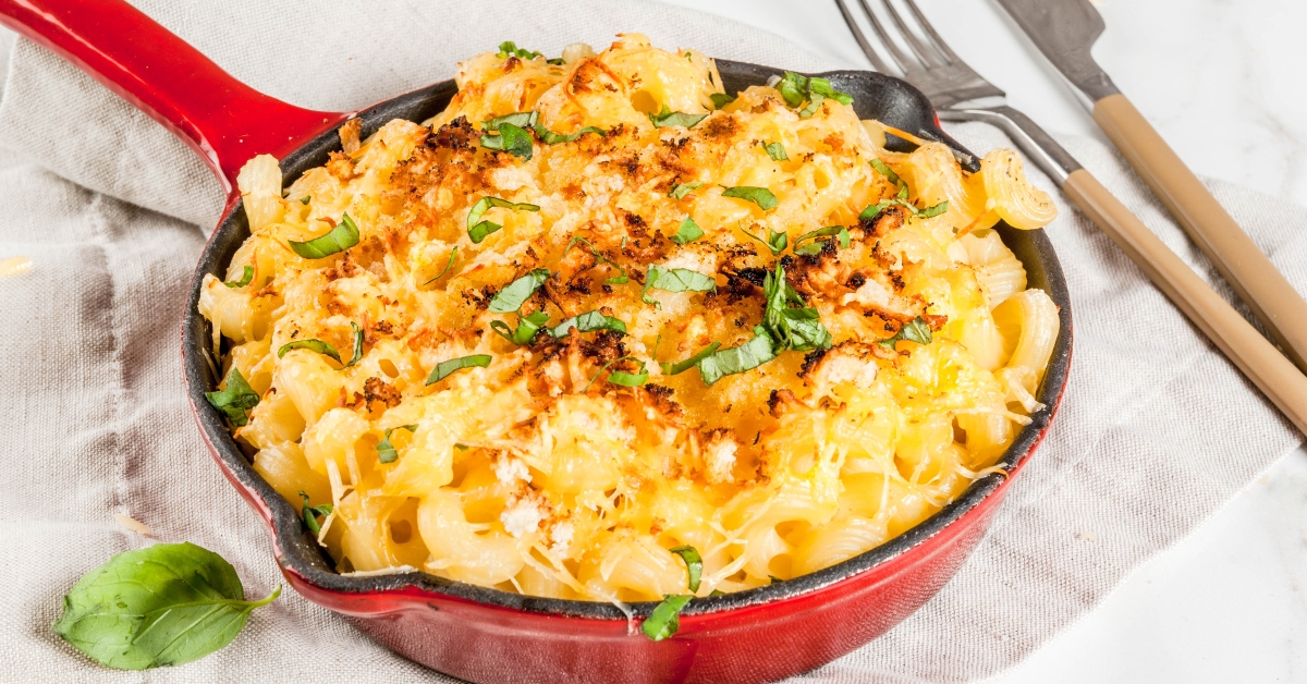 macaroni pasta with cheesy sauce