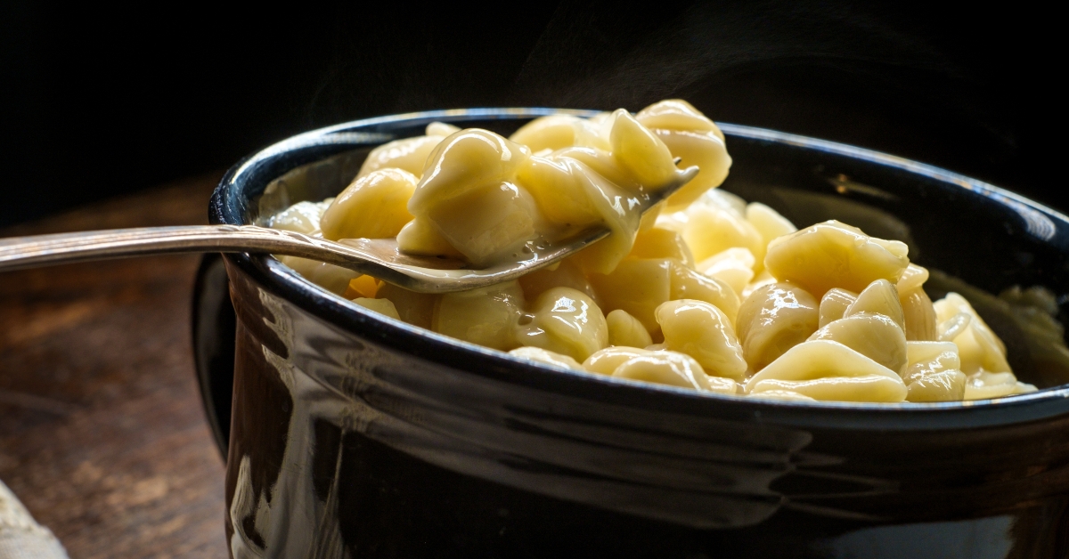 shell macaroni