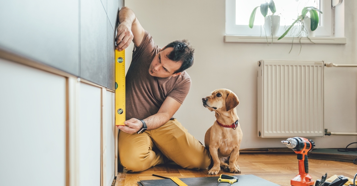 man and his dog doing renovation