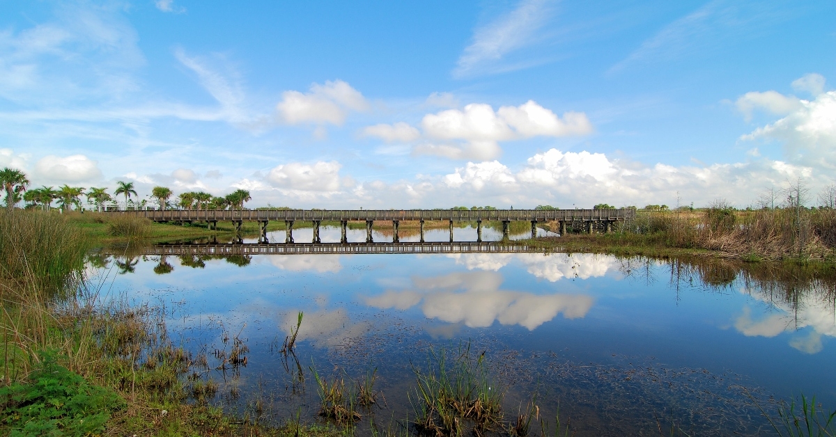 A view of Wellington, Florida