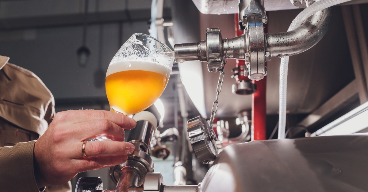 brewer checking quality of beer
