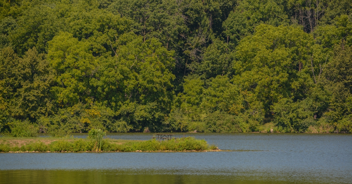 shabbona lake state park