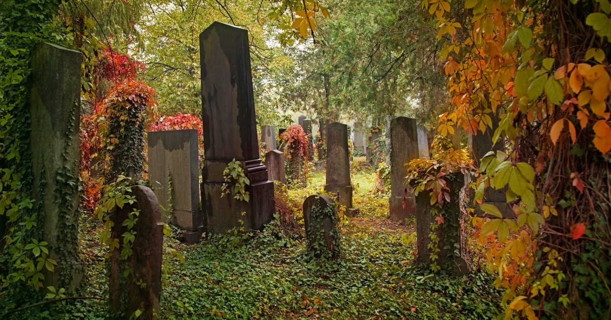 old jewish cemetery
